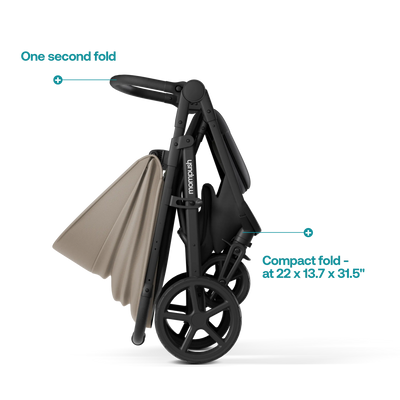 Mompush Nova