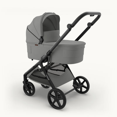 Mompush Vira