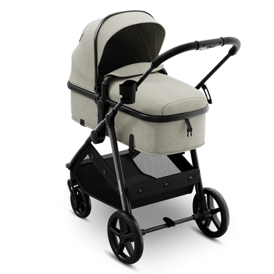 Mompush Wiz